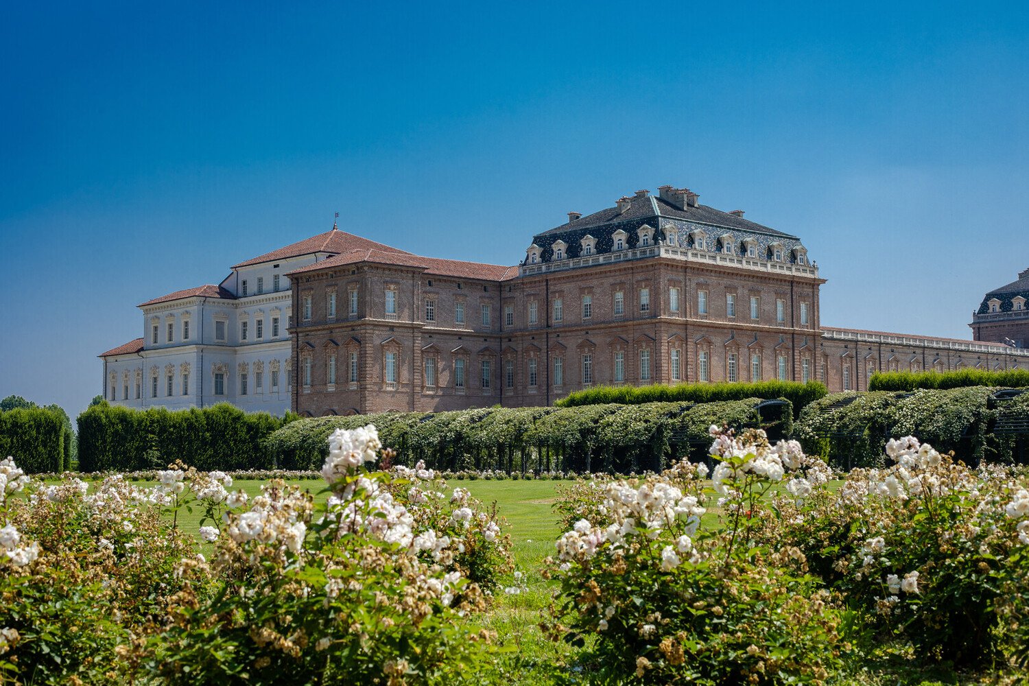 Best Things to Do in Turin: Itinerary to Explore Italian Culture - 2026 - 30 - Best Things to Do in Turin Best Things to Do in Turin - Best Things to Do in Turin: Itinerary to Explore Italian Culture - 2026 - 29