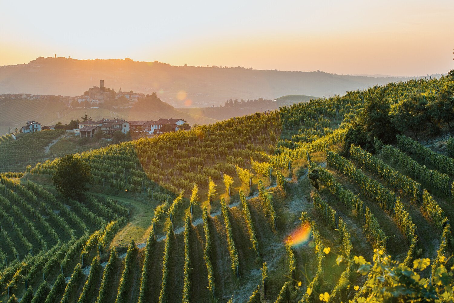 Day Trips from Turin: From Turin to the Vineyards via the Alps - 2026 - 14 - Day Trips from Turin Day Trips from Turin - Day Trips from Turin: From Turin to the Vineyards via the Alps - 2026 - 13