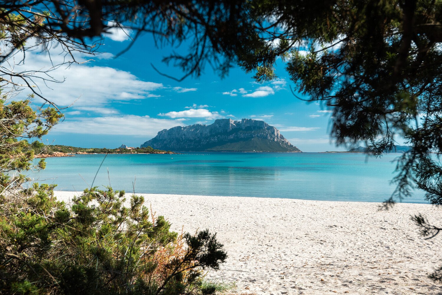 Visit Olbia Italy: Best Beaches and Attractions to Do - 2026 - 14 - Visit Olbia Visit Olbia - Visit Olbia Italy: Best Beaches and Attractions to Do - 2026 - 13