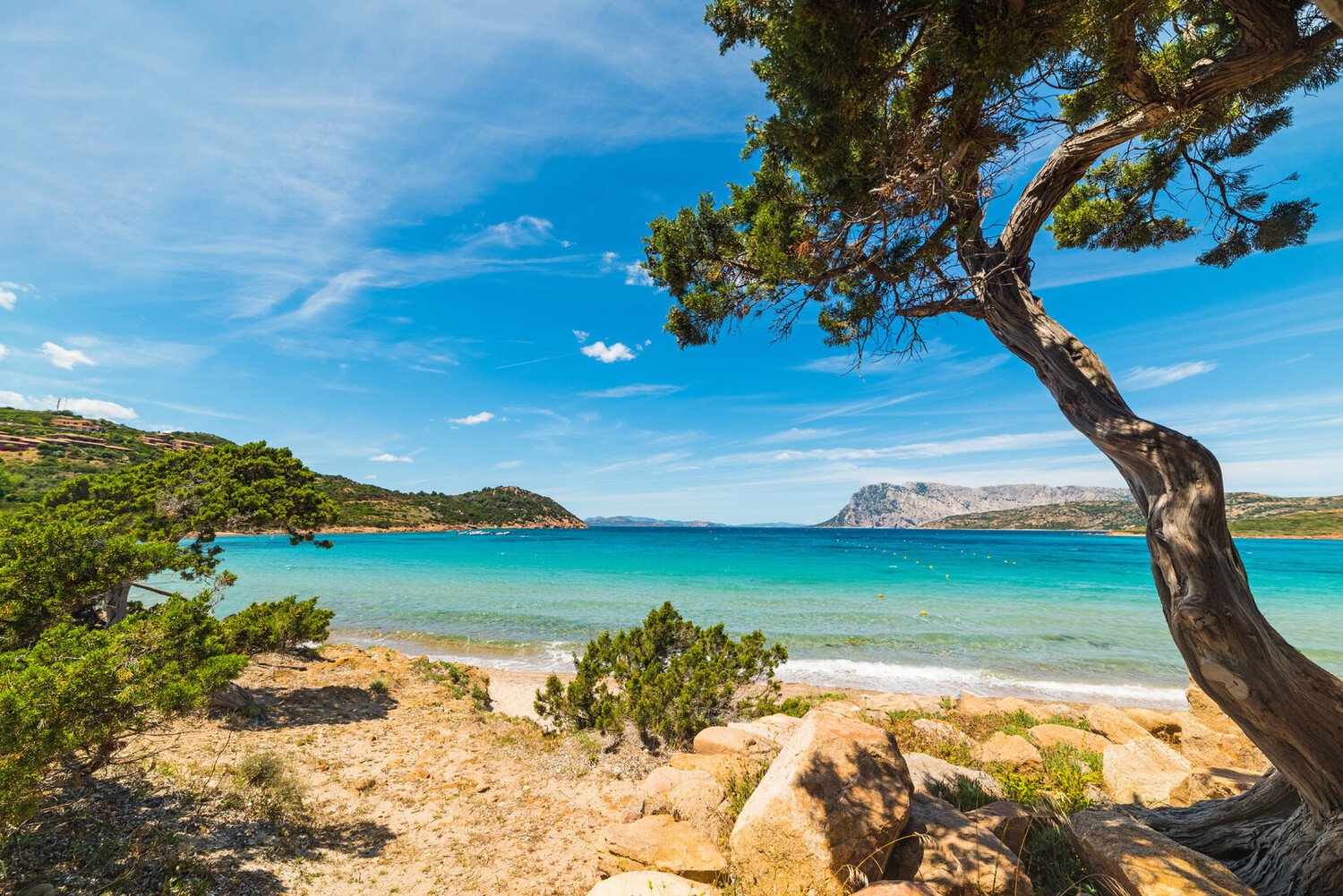 Plan Your Dream Trip Visit San Teodoro Sardinia - 2026 - 20 - Visit San Teodoro Visit San Teodoro - Plan Your Dream Trip Visit San Teodoro Sardinia - 2026 - 19