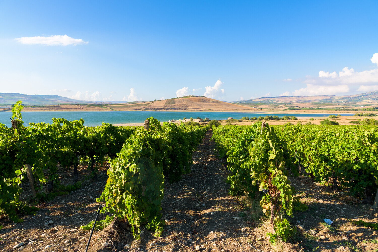 Visit Agrigento Sicily: Explore and Discover the Best Things to Do - 2026 - 24 - visit agrigento visit agrigento - Visit Agrigento Sicily: Explore and Discover the Best Things to Do - 2026 - 23