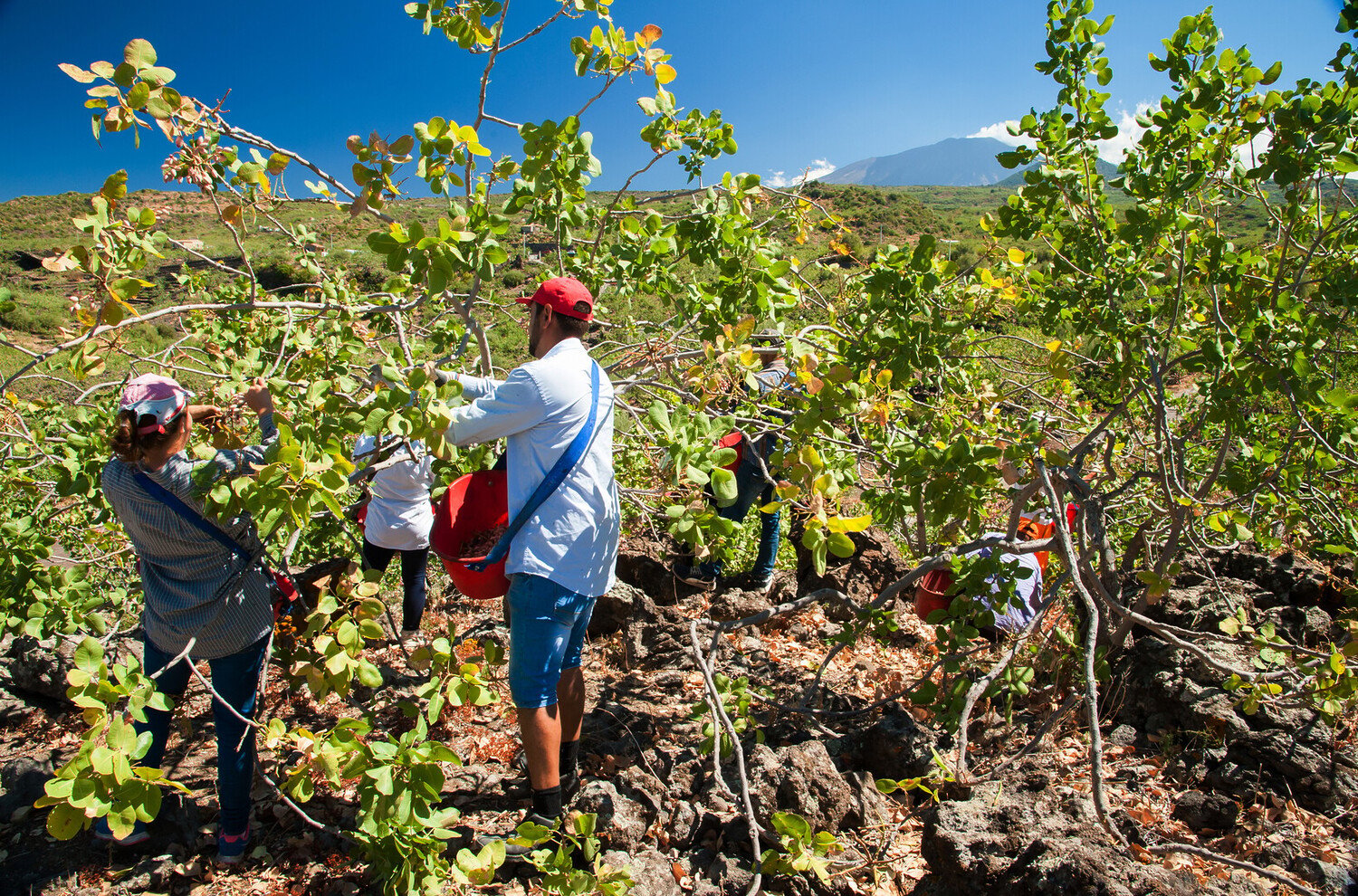 Visitez l'Etna en Sicile : Explorez le volcan le plus actif d'Europe - 2025-28 - Visitez l'Etna Visitez l'Etna - Visitez l'Etna en Sicile : Explorez le volcan le plus actif d'Europe - 2025-27