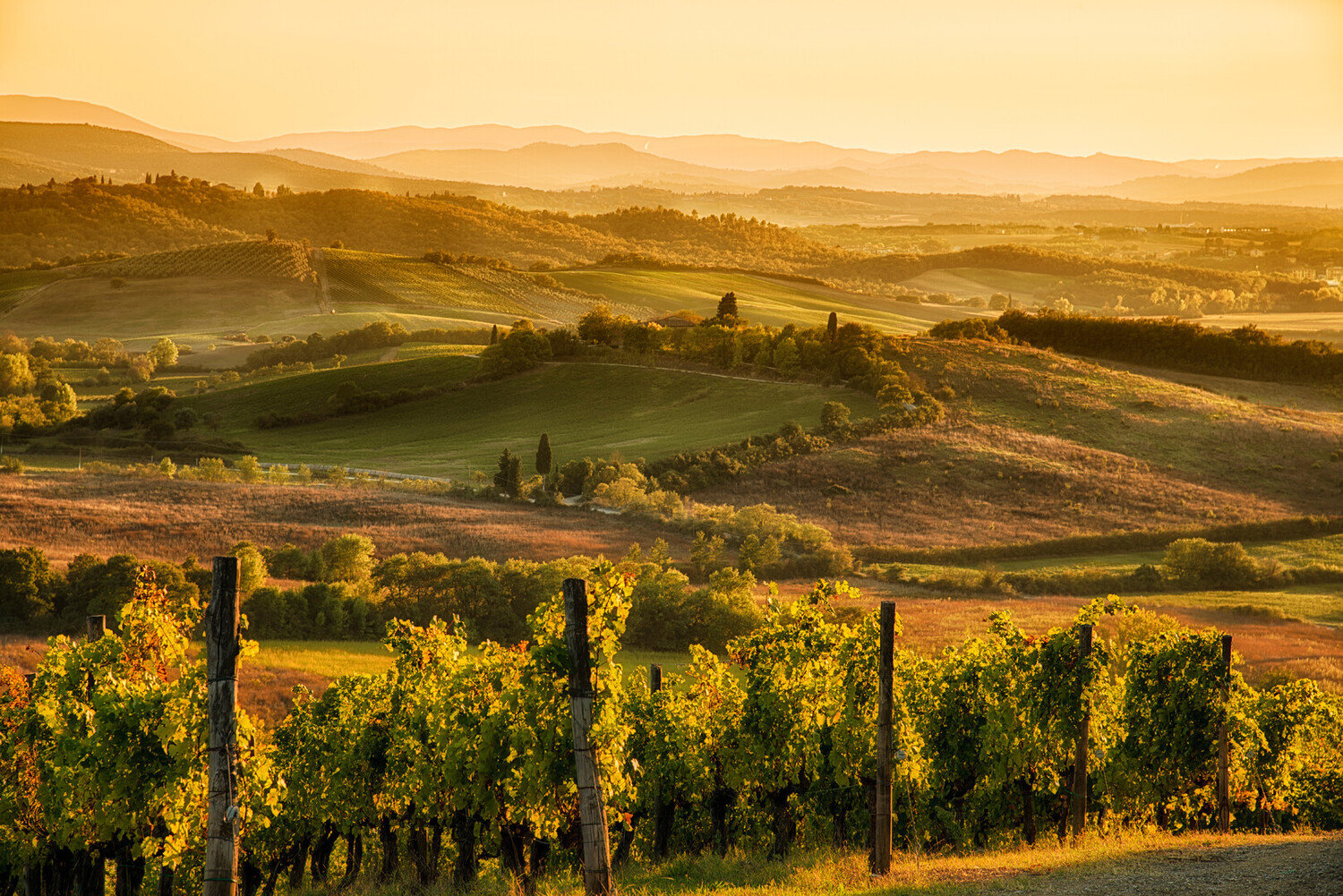 Discover the Best Day Trips from Florence - 2026 - 12 - Day Trips from Florence Day Trips from Florence - Discover the Best Day Trips from Florence - 2026 - 11