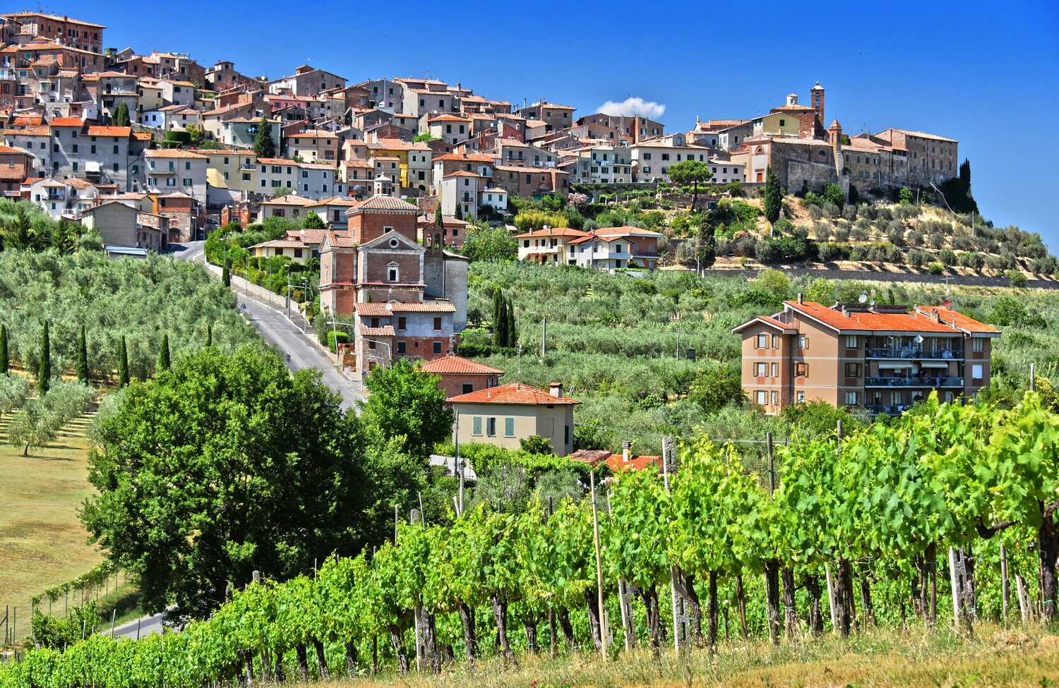 Uncover the Best Things to Do in Pienza on Your Journey - 2026 - 28 - things to do in Pienza things to do in Pienza - Uncover the Best Things to Do in Pienza on Your Journey - 2026 - 27