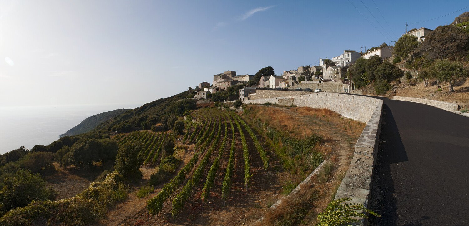 Sur la route des vins de France - 2026 - 13 - route des vins route des vins - Sur la route des vins de France - 2026 - 12