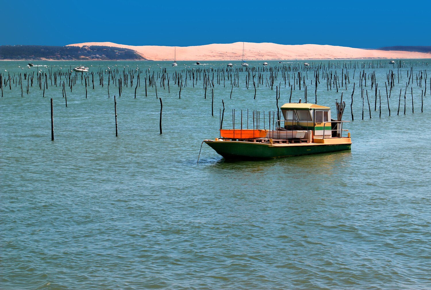 Visiter Arcachon : le joyau du bassin - 2026 - 11 - visiter Arcachon visiter Arcachon - Visiter Arcachon : le joyau du bassin - 2026 - 10
