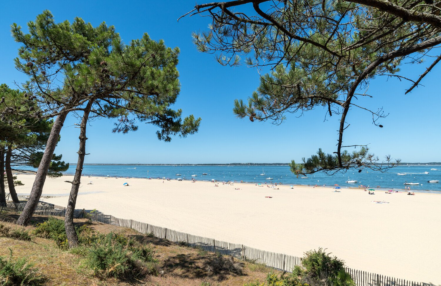 Visiter Arcachon : le joyau du bassin - 2026 - 13 - visiter Arcachon visiter Arcachon - Visiter Arcachon : le joyau du bassin - 2026 - 12