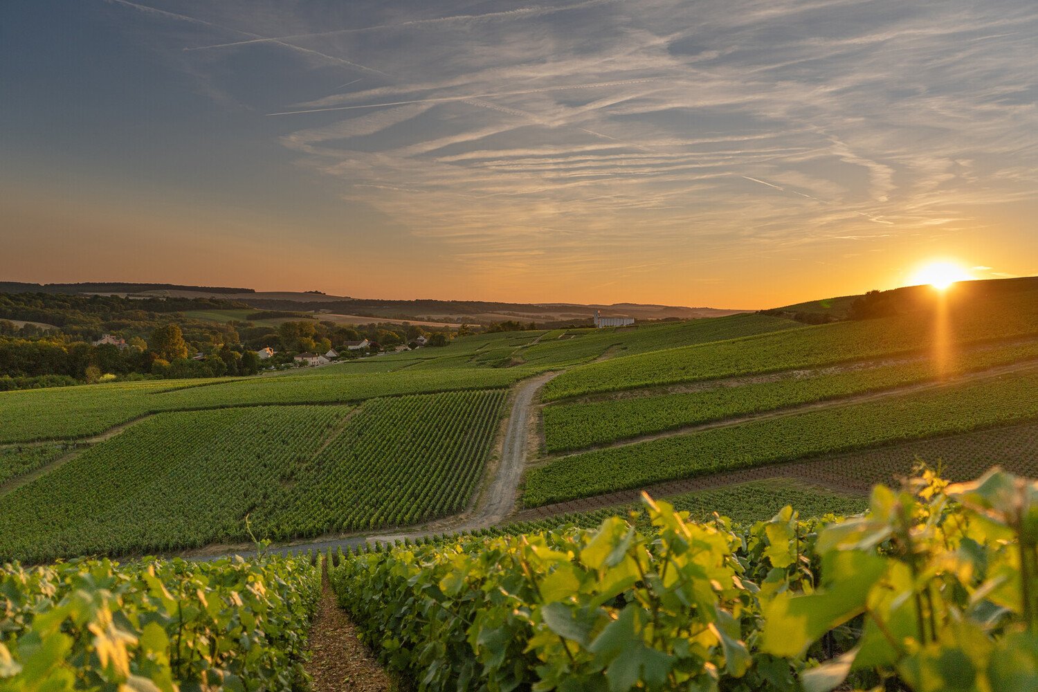 Visiter Saint-Émilion : Guide pour découvrir la cité médiévale - 2026 - 22 - Visiter Saint Emilion Visiter Saint Emilion - Visiter Saint-Émilion : Guide pour découvrir la cité médiévale - 2026 - 21