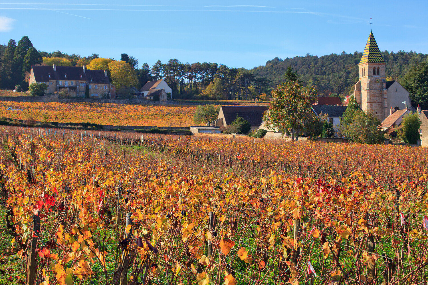 Route des vins de Bourgogne Carte : Entre climats et Grands Crus - 2026 - 7 - route des vins de bourgogne, route des grands crus carte, route des grands crus de bourgogne, route des vins beaune route des vins de bourgogne, route des grands crus carte, route des grands crus de bourgogne, route des vins beaune - Route des vins de Bourgogne Carte : Entre climats et Grands Crus - 2026 - 6