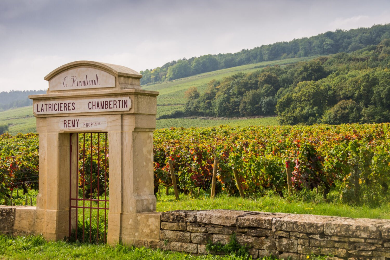 Route des vins de Bourgogne Carte : Entre climats et Grands Crus - 2026 - 9 - route des vins de bourgogne, route des grands crus carte, route des grands crus de bourgogne, route des vins beaune route des vins de bourgogne, route des grands crus carte, route des grands crus de bourgogne, route des vins beaune - Route des vins de Bourgogne Carte : Entre climats et Grands Crus - 2026 - 8