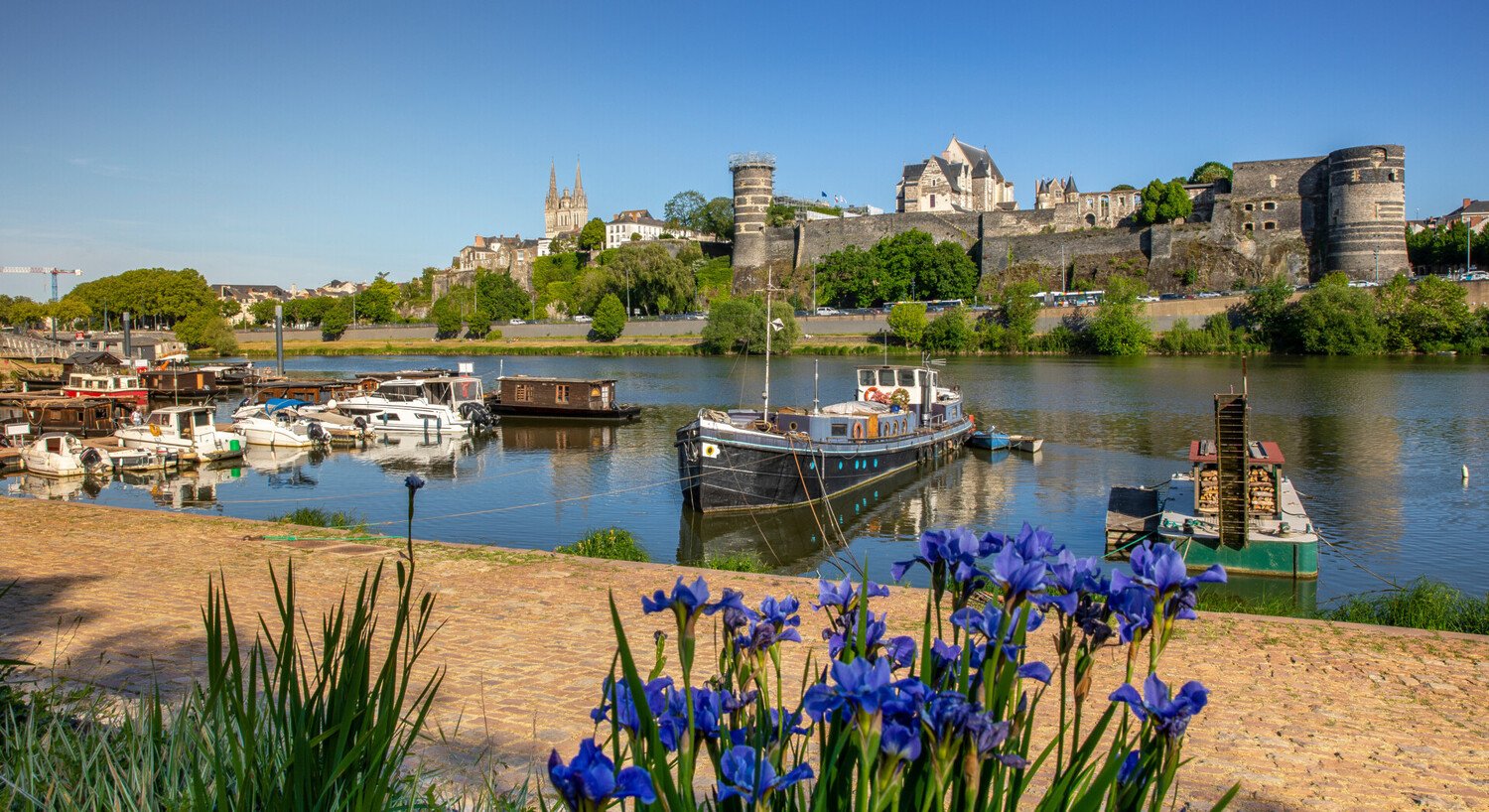 Que faire à Angers : visiter, découvrir les parcs et jardins - 2026 - 3 - Que faire à Angers Que faire à Angers - Que faire à Angers : visiter, découvrir les parcs et jardins - 2026 - 2
