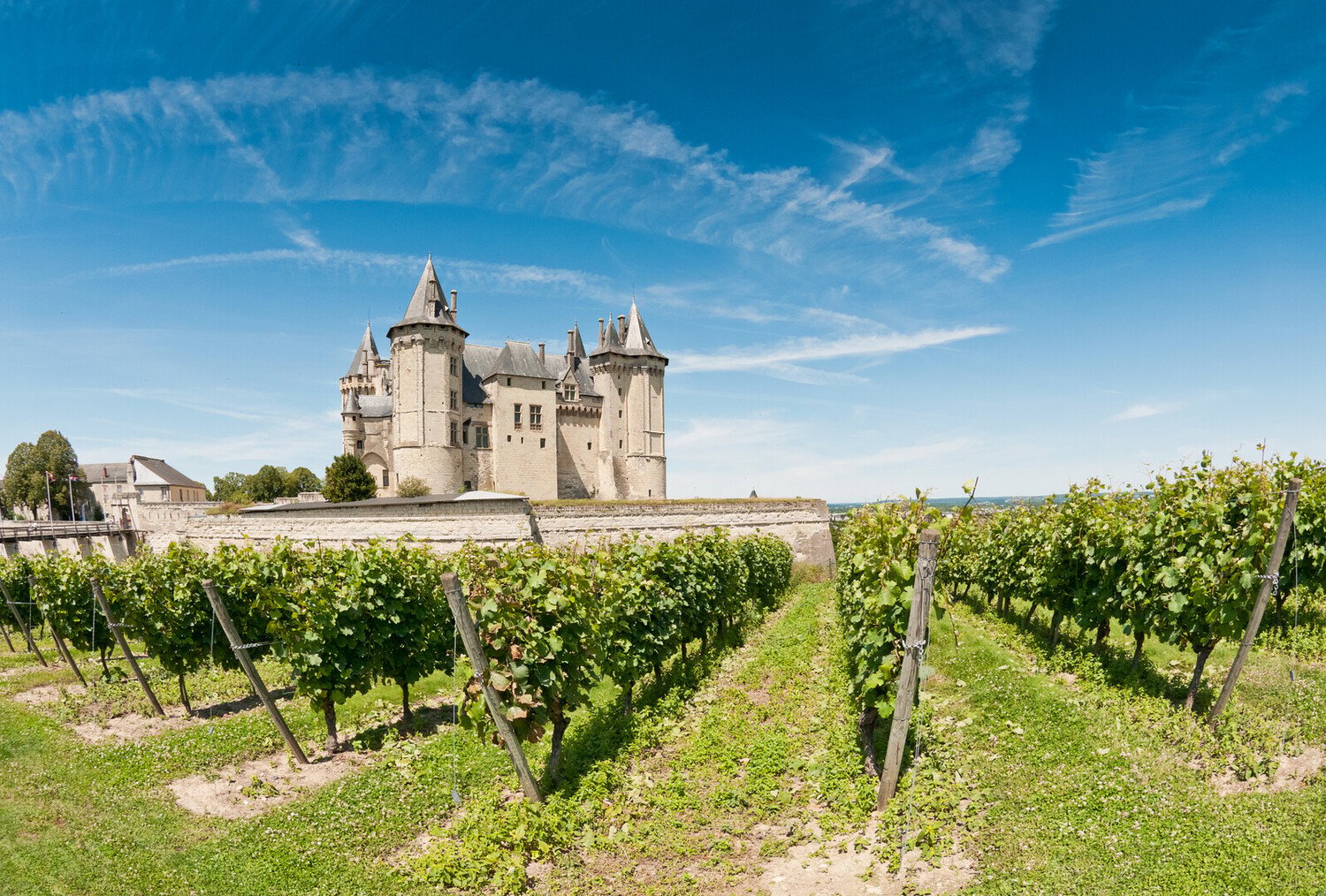 Wine and castle: Uncover the top things to do in Chinon France - 2026 - 18 - things to do in chinon france things to do in chinon france - Wine and castle: Uncover the top things to do in Chinon France - 2026 - 17