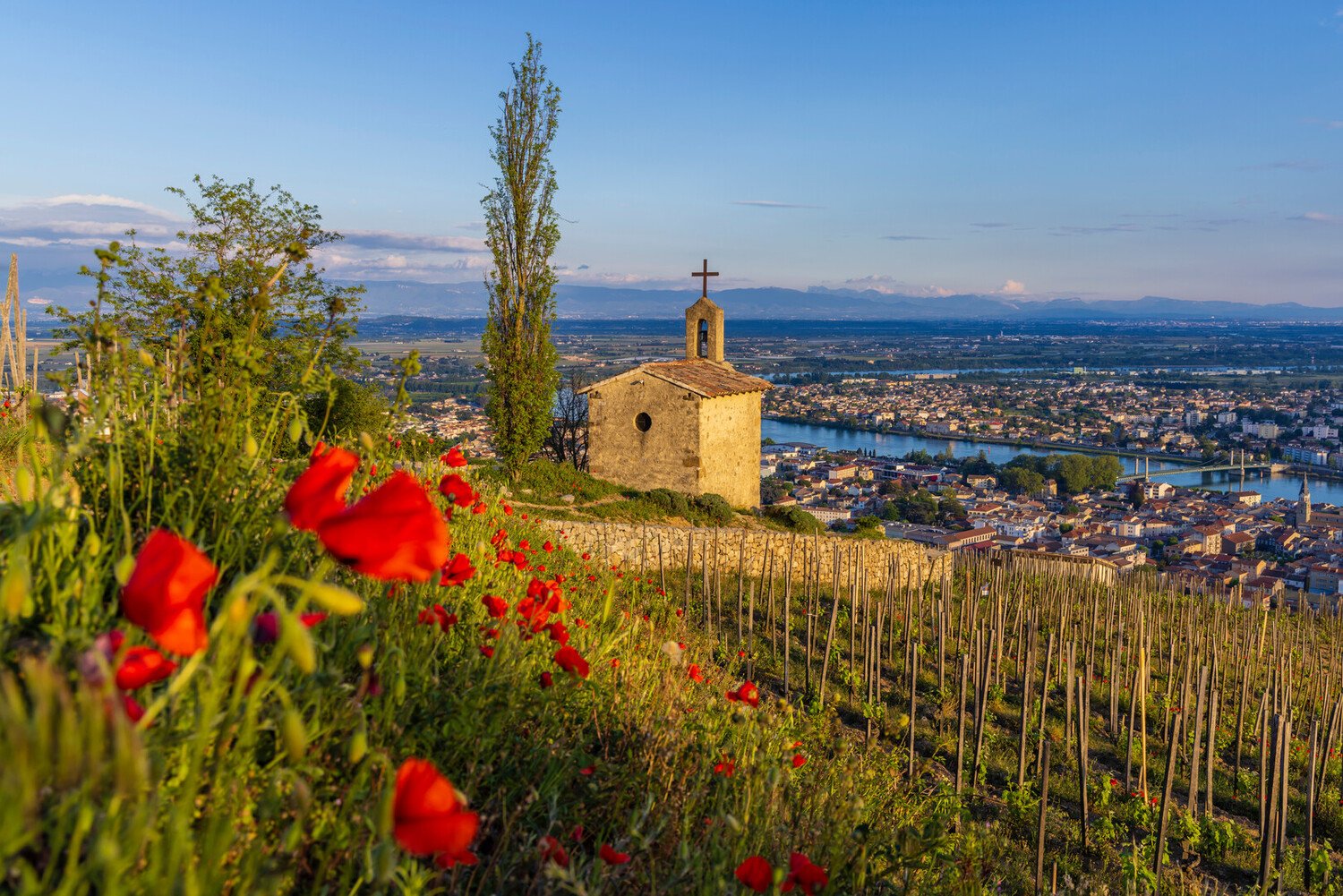 Visit Lyon: 15 Perfect Things to Do & Activities in Lyon - 2026 - 22 - visit lyon, things to do in lyon france L’attribut alt de cette image est vide, son nom de fichier est AdobeStock_607158457-1500x1001.jpeg.