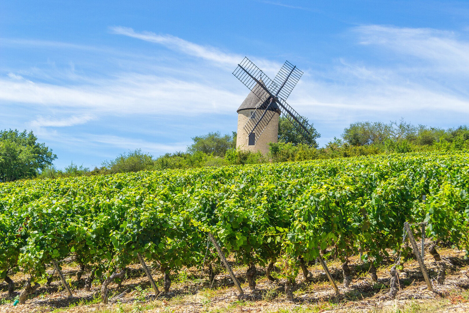 Visiter Chalon-sur-Saône : Top 5 des choses à faire - 2026 - 19 - Visiter Châlon-sur-Saône Visiter Châlon-sur-Saône - Visiter Chalon-sur-Saône : Top 5 des choses à faire - 2026 - 18