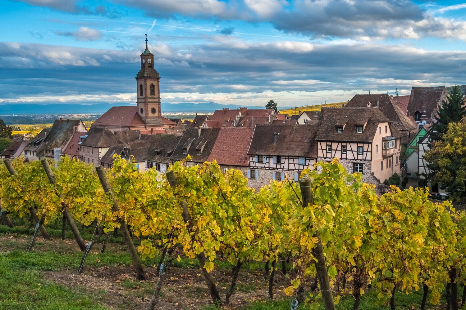 Discover the Best French Wine Regions to Visit - 2026 - 7 - french wine regions french wine regions - Discover the Best French Wine Regions to Visit - 2026 - 6