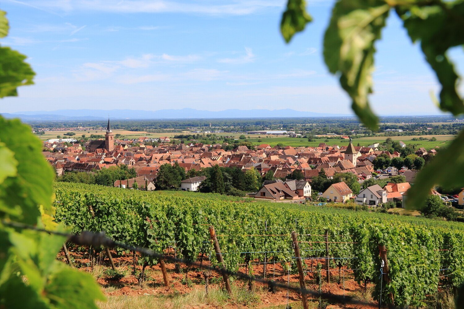 Week End en amoureux Alsace: Idées Insolites et Romantiques - 2026 - 6 - week end en amoureux alsace week end en amoureux alsace - Week End en amoureux Alsace: Idées Insolites et Romantiques - 2026 - 5