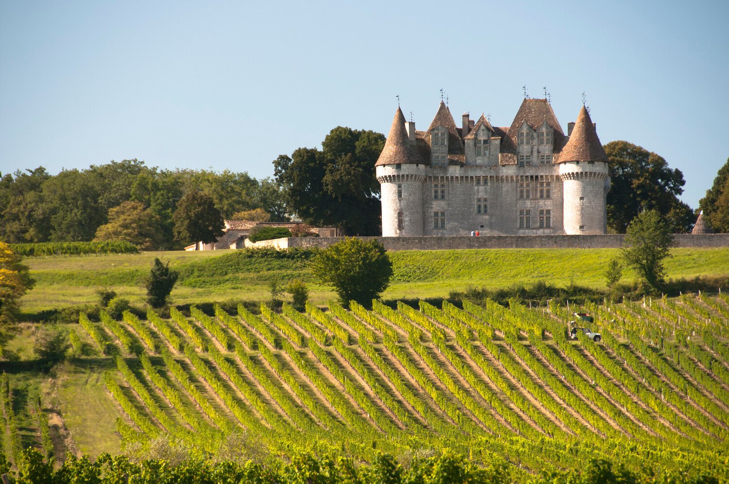 Visiter Bergerac : Découvrez cette ville historique du Périgord - 2026 - 10 - visiter bergerac, bergerac visiter bergerac, bergerac - Visiter Bergerac : Découvrez cette ville historique du Périgord - 2026 - 9