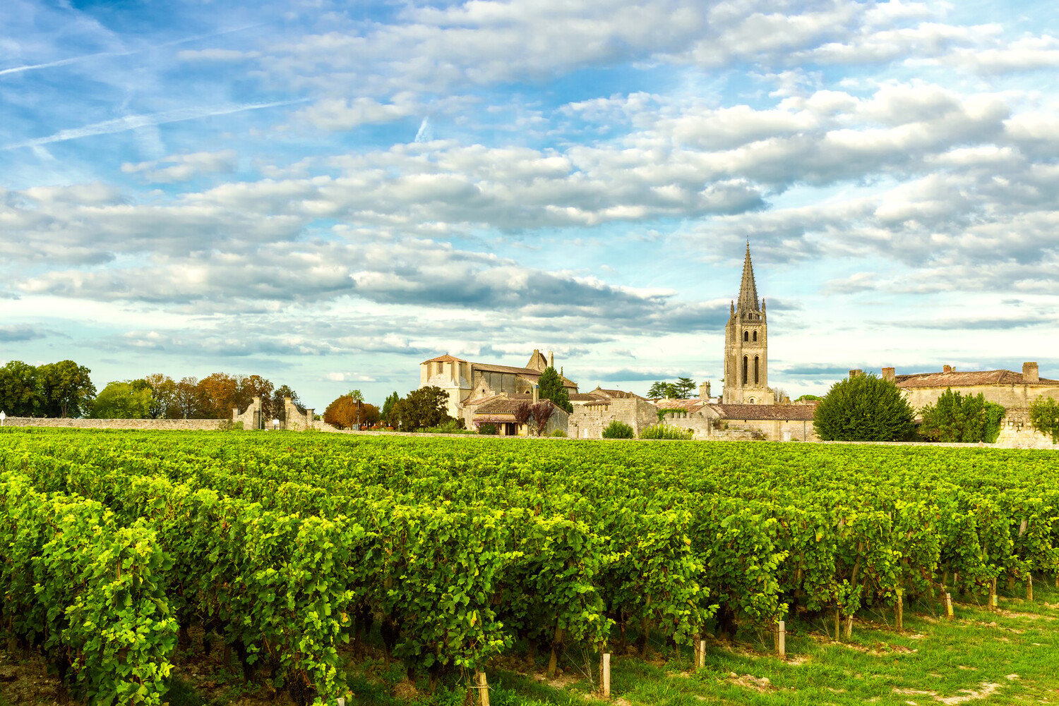 Que visiter autour de Bordeaux ? Châteaux et excursions incontournables - 2026 - 3 - que visiter autour de bordeaux que visiter autour de bordeaux - Que visiter autour de Bordeaux ? Châteaux et excursions incontournables - 2026 - 2