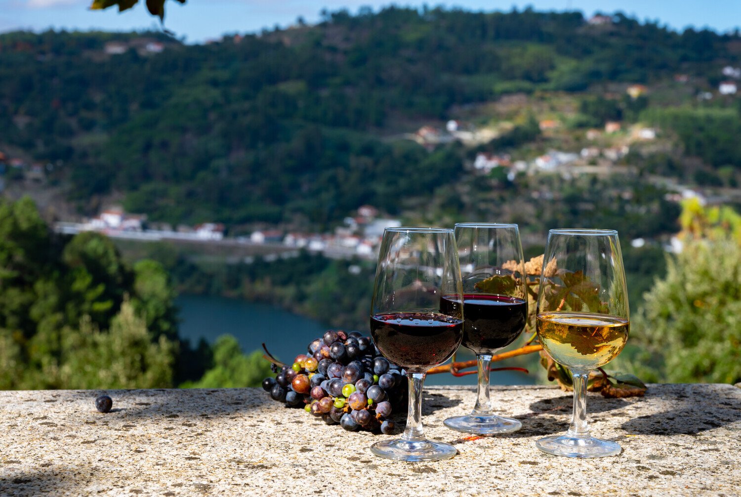 Explore Peso da Régua: Where River Views and Wine Roads Begin - 2026 - 15 - peso da regua peso da regua - Explore Peso da Régua: Where River Views and Wine Roads Begin - 2026 - 14