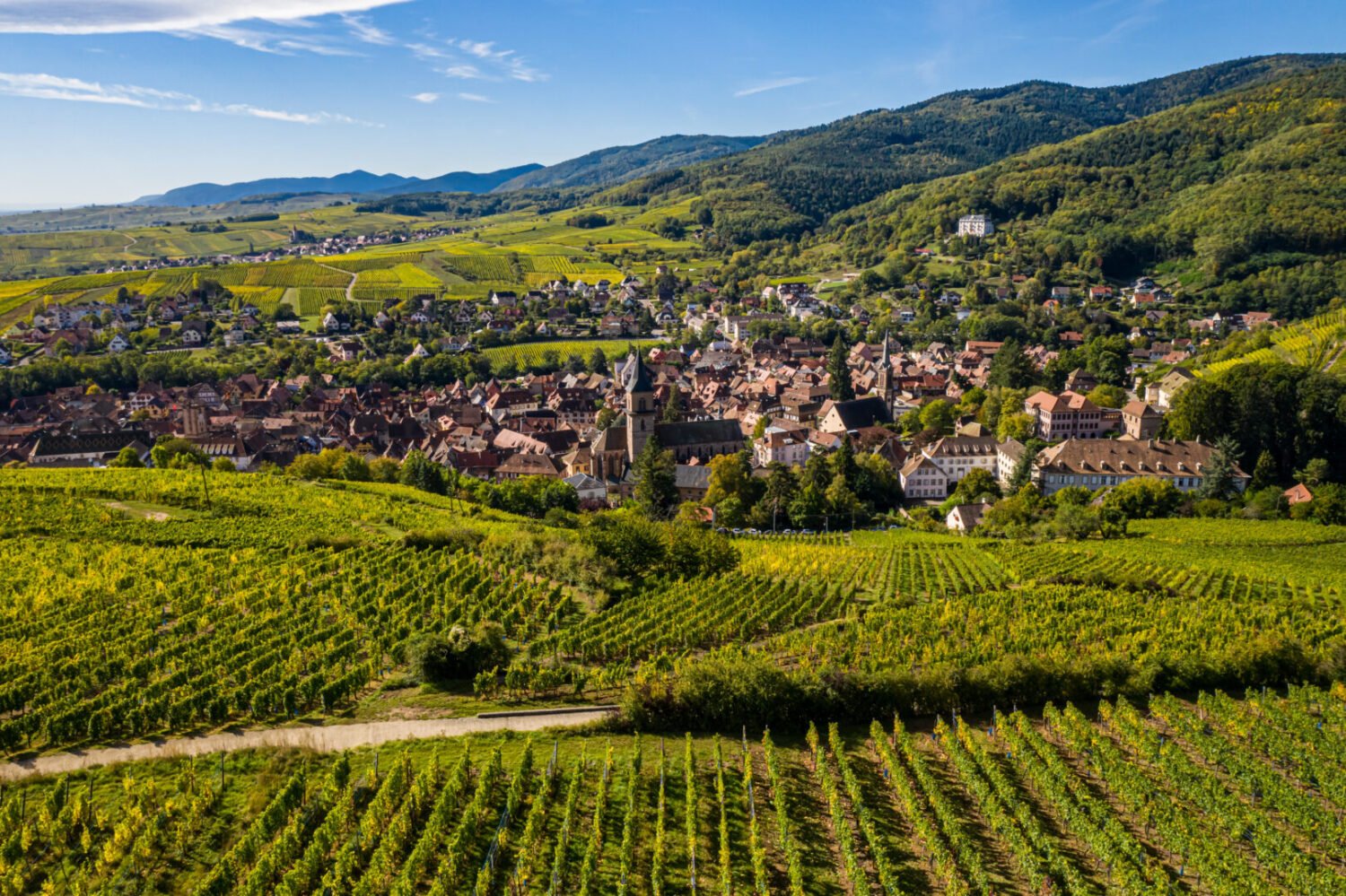 Que faire à Ribeauvillé : idées de visites pour un week-end en Alsace - 2026 - 19 - que faire à ribeauvillé que faire à ribeauvillé - Que faire à Ribeauvillé : idées de visites pour un week-end en Alsace - 2026 - 18