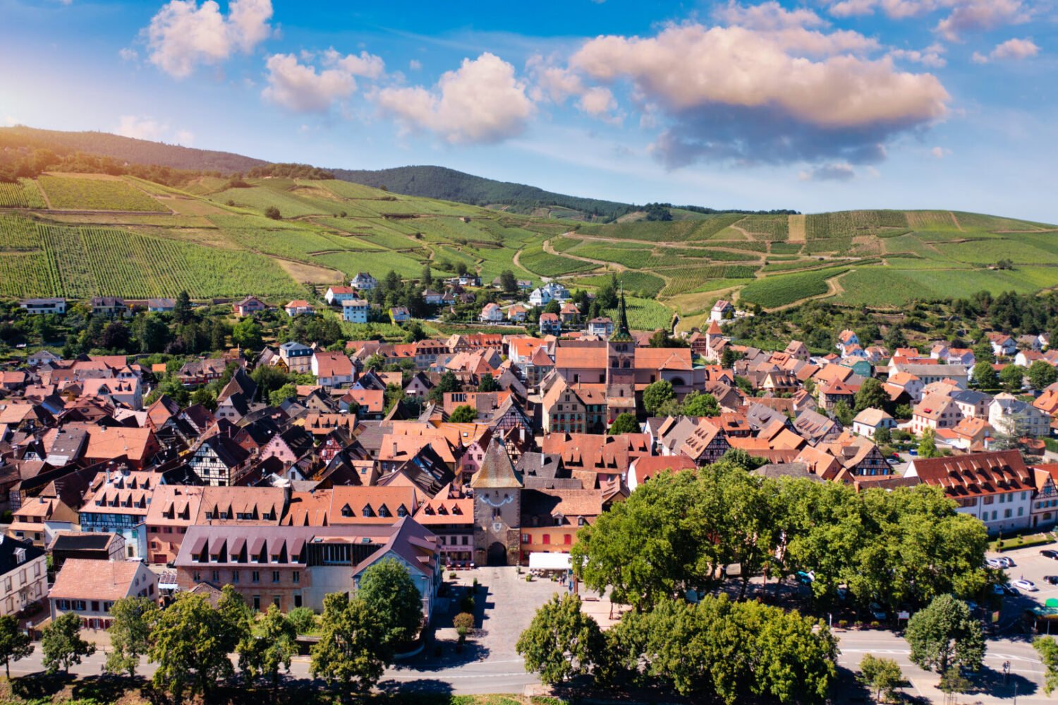 Alsace Wine Route: Itinerary from Colmar to Riquewihr - 2026 - 33 - alsace wine route alsace wine route - Alsace Wine Route: Itinerary from Colmar to Riquewihr - 2026 - 32