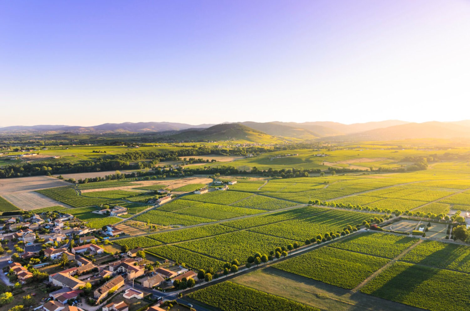 Visiter les plus beaux villages du Beaujolais: découvrir les incontournables - 2026 - 15 - beaux villages du beaujolais beaux villages du beaujolais - Visiter les plus beaux villages du Beaujolais: découvrir les incontournables - 2026 - 14