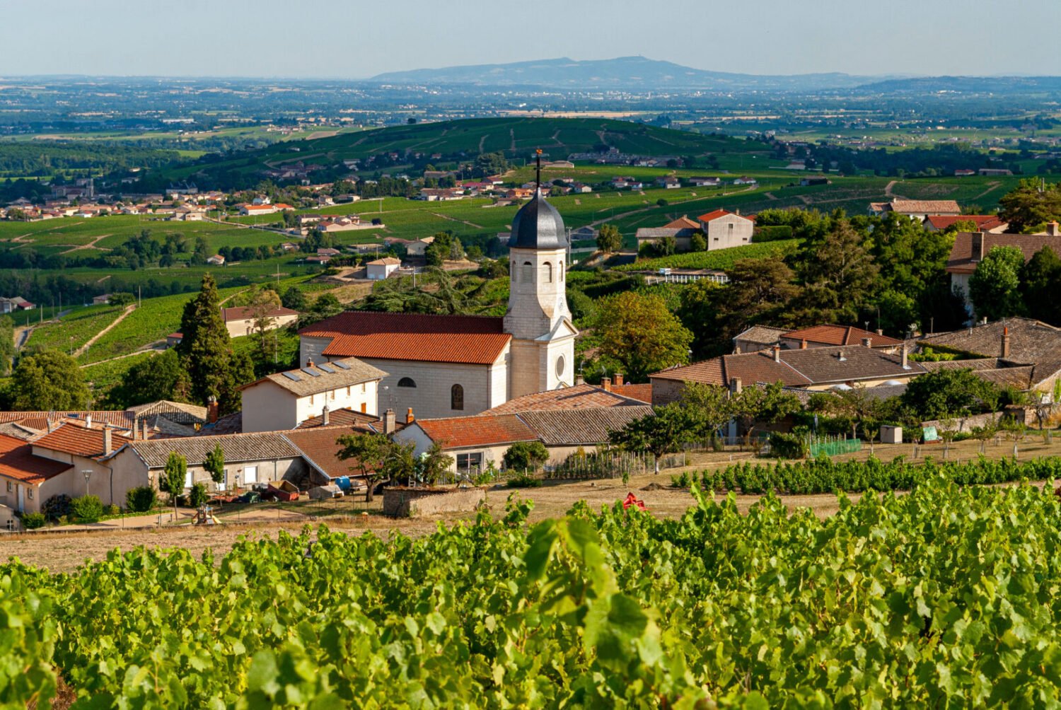 Beaujolais Wine Map: Guide to the Crus, Vineyards and Appellations - 2026 - 21 - beaujolais wine route, beaujolais wine map beaujolais wine route, beaujolais wine map - Beaujolais Wine Map: Guide to the Crus, Vineyards and Appellations - 2026 - 20