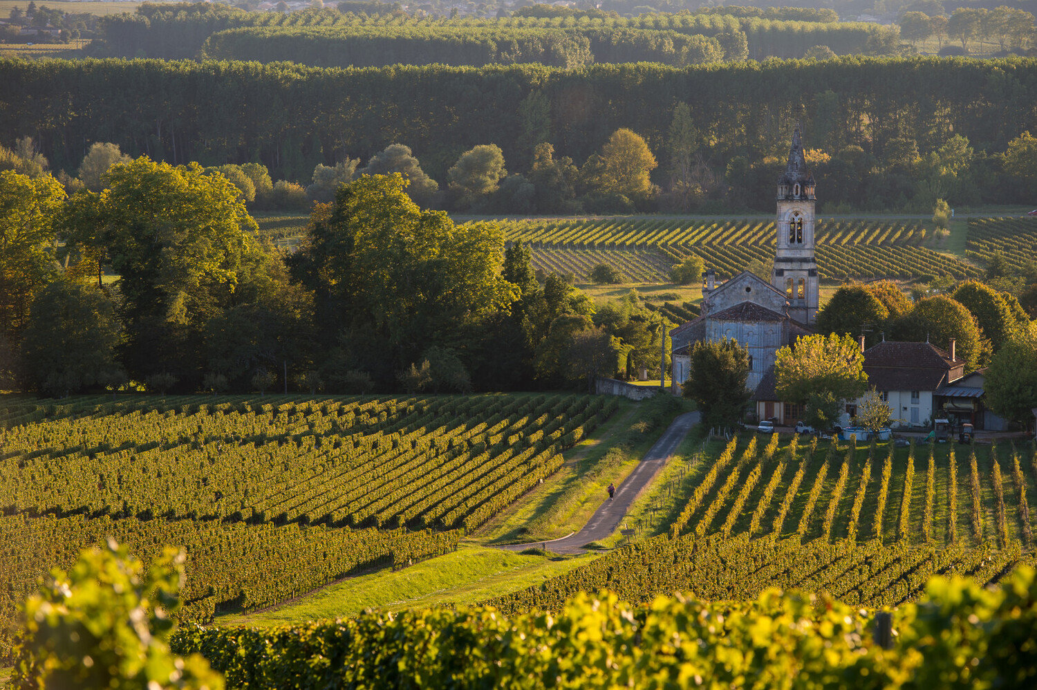 Route des vins des Graves et Sauternes : Itinéraire et Carte des vignobles - 2026 - 2 - route des vins sauternes, routes des vins graves route des vins sauternes, routes des vins graves - Route des vins des Graves et Sauternes : Itinéraire et Carte des vignobles - 2026 - 1