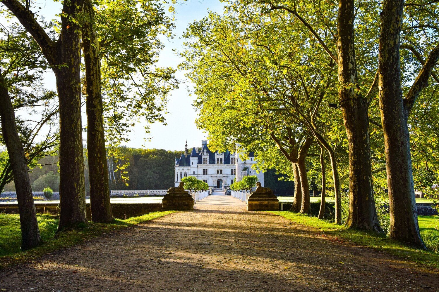 Best things to do in Tours: Uncover the Loire Valley - 2026 - 14 - things to do in tours things to do in tours - Best things to do in Tours: Uncover the Loire Valley - 2026 - 13