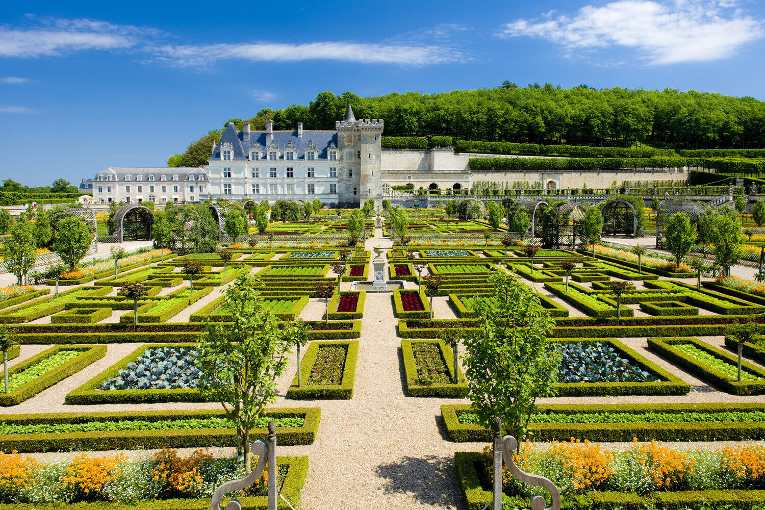 Loire Valley Castles: The 9 You Shouldn't Miss - 2026 - 9 - loire valley castles loire valley castles - Loire Valley Castles: The 9 You Shouldn't Miss - 2026 - 8