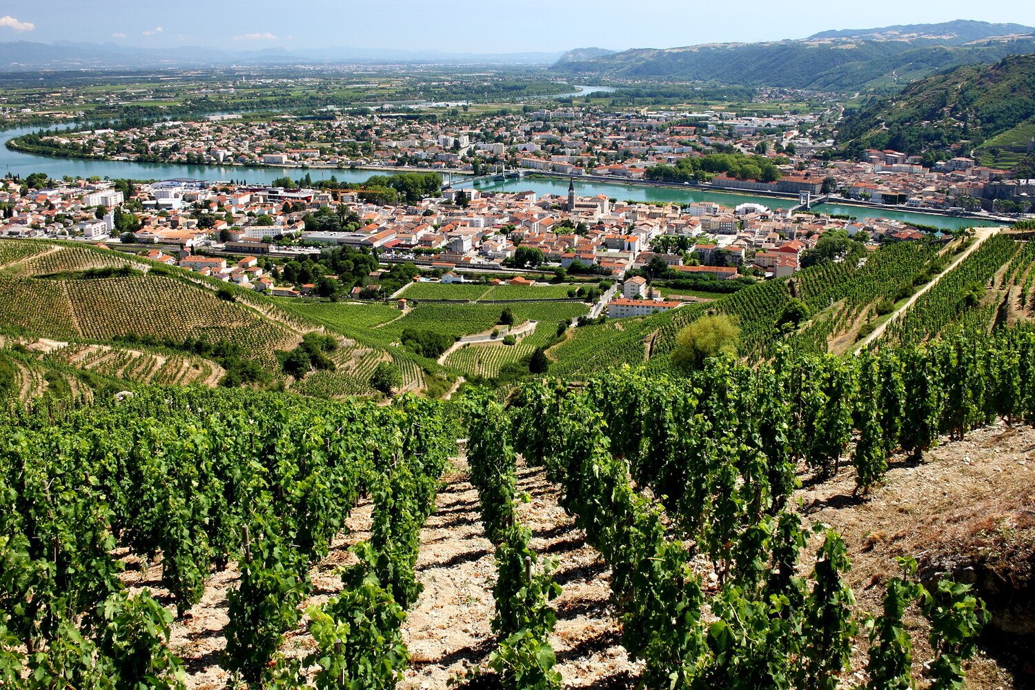 Route des vins de la Côte du Rhône : Itinéraire et lieux incontournables à visiter - 2026 - 11 - route des vins de la côte du rhône, route des vins cote du rhone, route des vins côte du rhône route des vins de la côte du rhône, route des vins cote du rhone, route des vins côte du rhône - Route des vins de la Côte du Rhône : Itinéraire et lieux incontournables à visiter - 2026 - 10