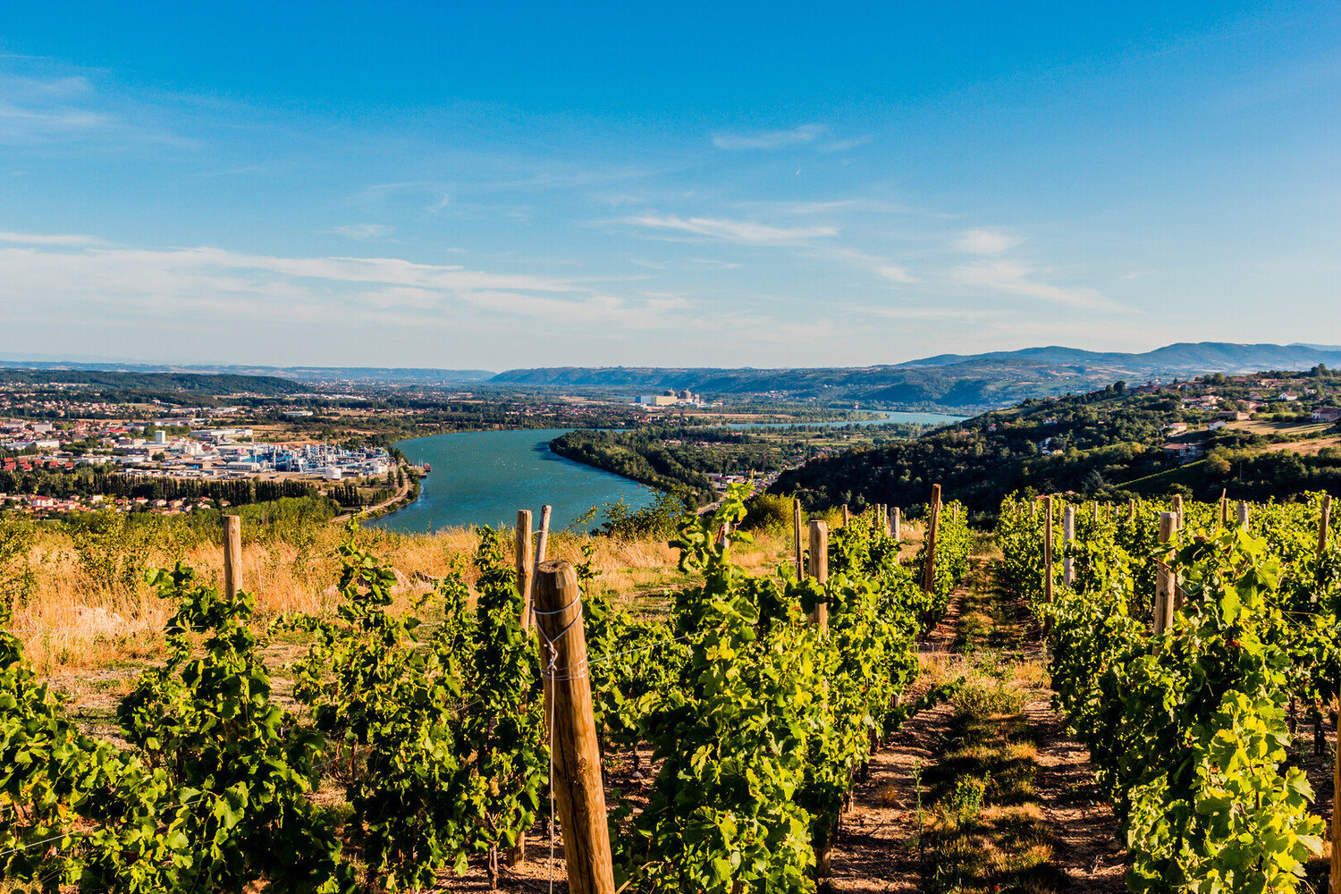 Route des vins de la Côte du Rhône : Itinéraire et lieux incontournables à visiter - 2026 - 13 - route des vins de la côte du rhône, route des vins cote du rhone, route des vins côte du rhône route des vins de la côte du rhône, route des vins cote du rhone, route des vins côte du rhône - Route des vins de la Côte du Rhône : Itinéraire et lieux incontournables à visiter - 2026 - 12