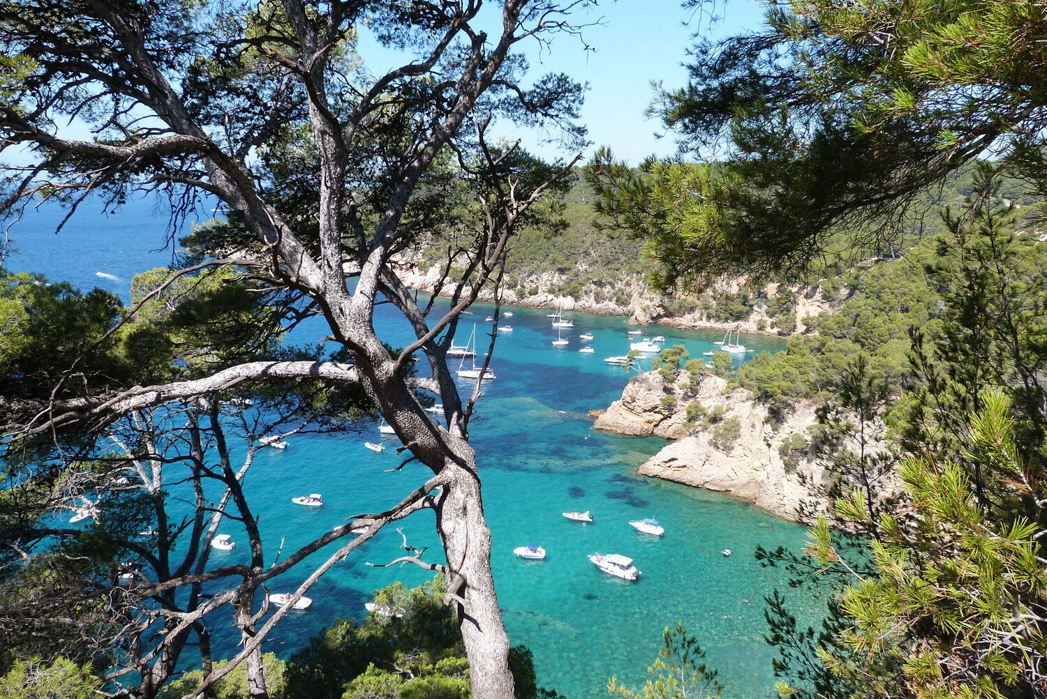 Visit Bandol: TOP 10 things to do - 2026 - 2 - visit bandol, provence, things to do in bandol france visit bandol, provence, things to do in bandol france - Visit Bandol: TOP 10 things to do - 2026 - 1