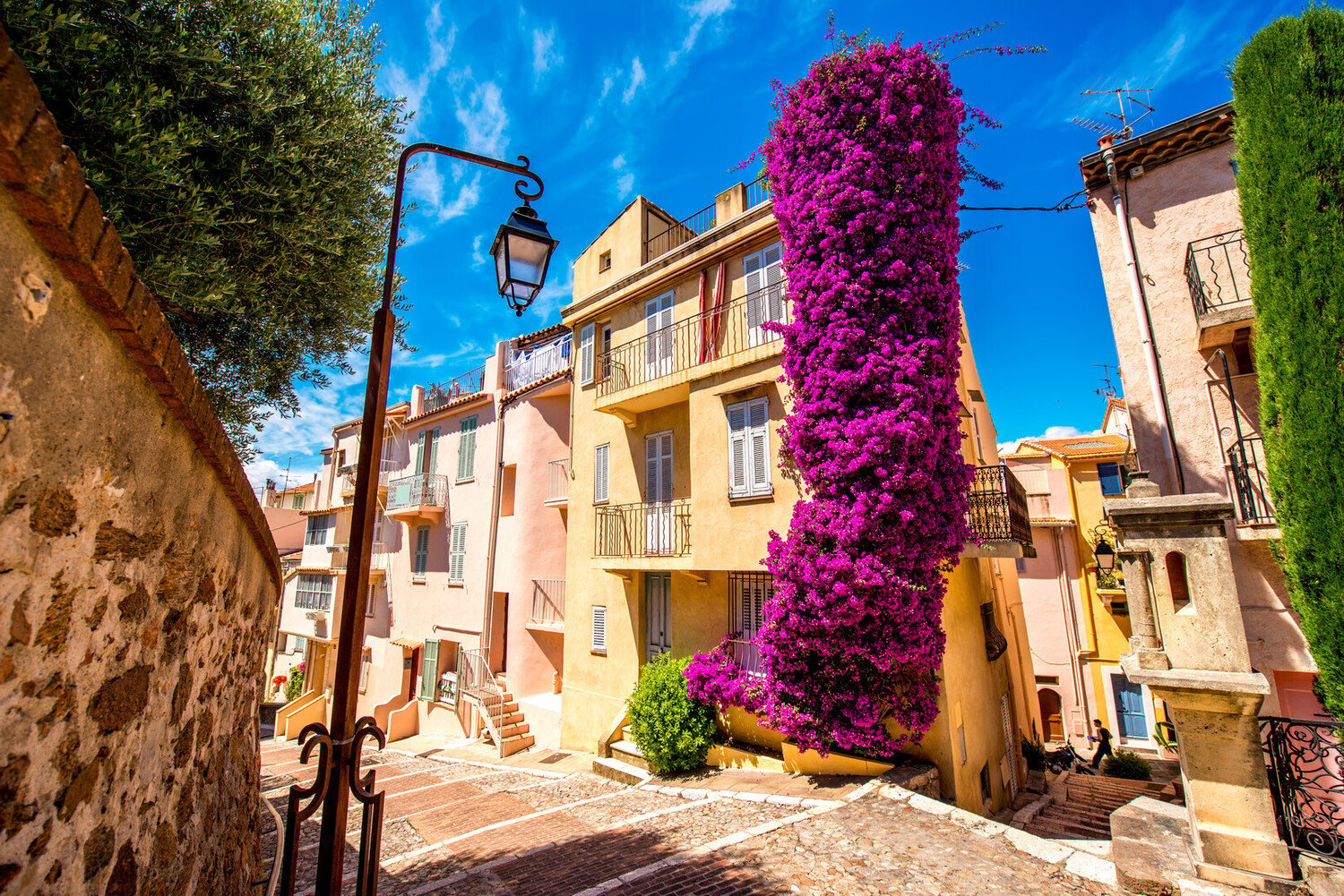 Route des vins de Nice : Guide et itinéraire - 2026 - 10 - route des vins de nice route des vins de nice - Route des vins de Nice : Guide et itinéraire - 2026 - 9