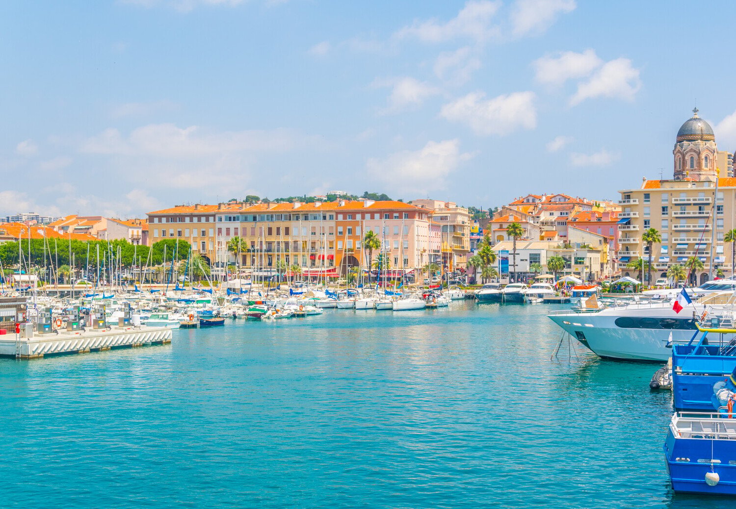 Route des vins de Nice : Guide et itinéraire - 2026 - 12 - route des vins de nice route des vins de nice - Route des vins de Nice : Guide et itinéraire - 2026 - 11