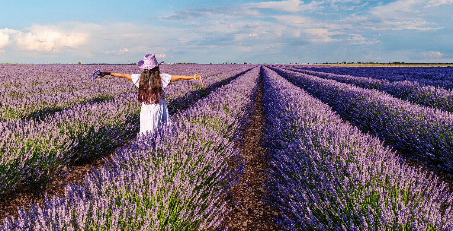 Visiter Saint-Tropez : Notre guide des meilleures choses à faire - 2026 - 30 - visite saint tropez visite saint tropez - Visiter Saint-Tropez : Notre guide des meilleures choses à faire - 2026 - 29