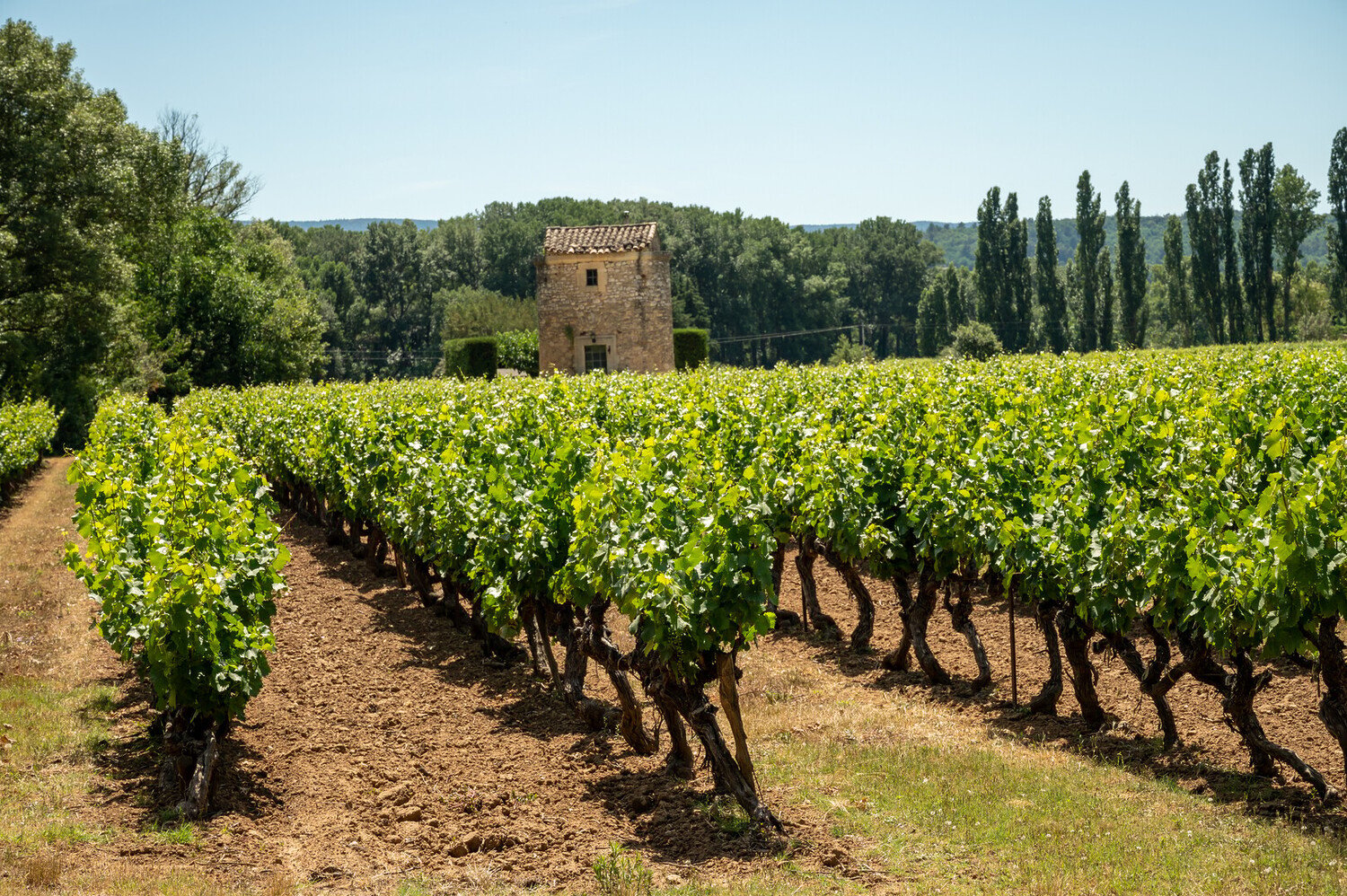TOP 10 Bars à vin à Aix-en-Provence : nos meilleures adresses selon vos envies - 2026 - 6 - bars à vin aix-en-provence bars à vin aix-en-provence - TOP 10 Bars à vin à Aix-en-Provence : nos meilleures adresses selon vos envies - 2026 - 5