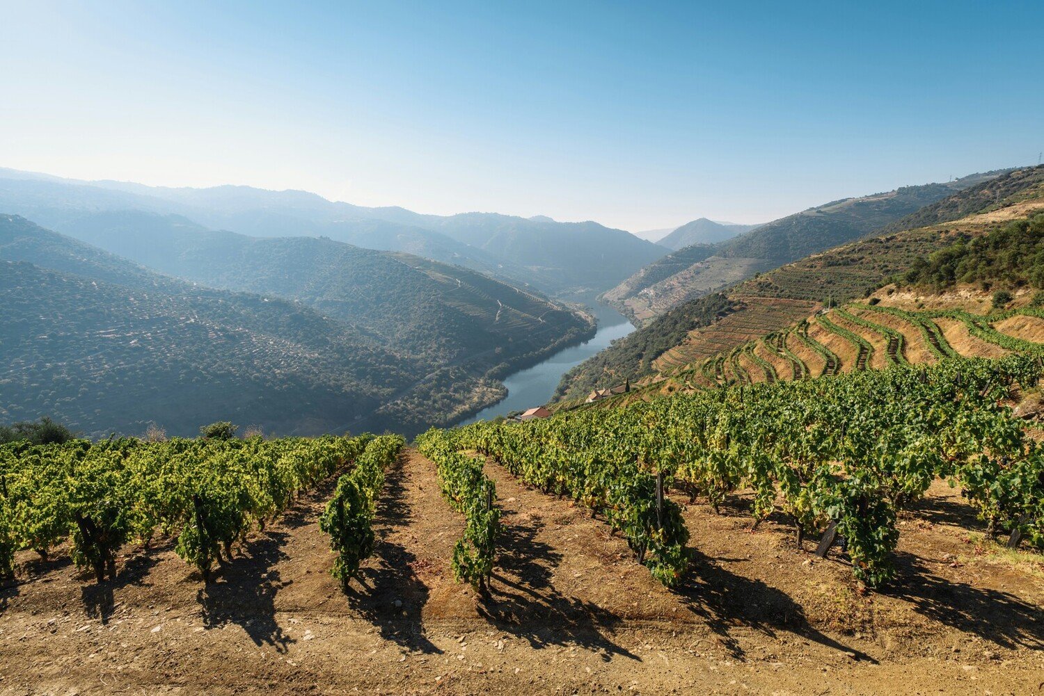 What To Do in Douro Valley ? The Ultimate Guide - 2026 - 8 - what to do in douro valley what to do in douro valley - What To Do in Douro Valley ? The Ultimate Guide - 2026 - 7