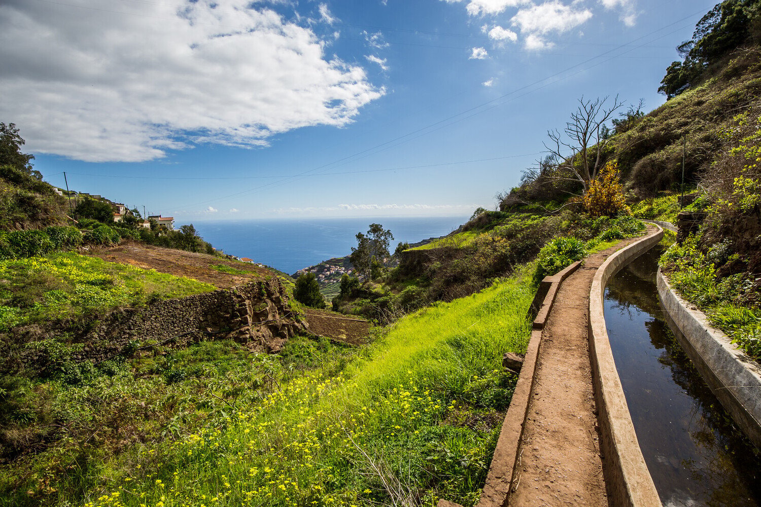 Best things to do in Madeira: Our ideal Itinerary - 2026 - 4 - things to do in madeira things to do in madeira - Best things to do in Madeira: Our ideal Itinerary - 2026 - 3