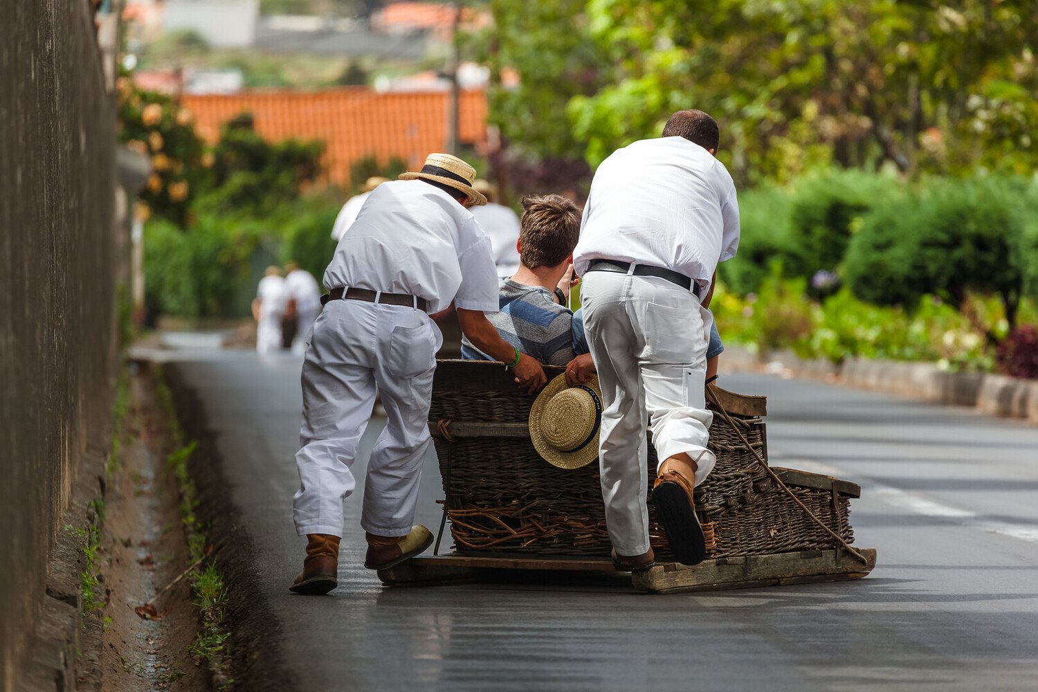 Best things to do in Madeira: Our ideal Itinerary - 2026 - 8 - things to do in madeira things to do in madeira - Best things to do in Madeira: Our ideal Itinerary - 2026 - 7