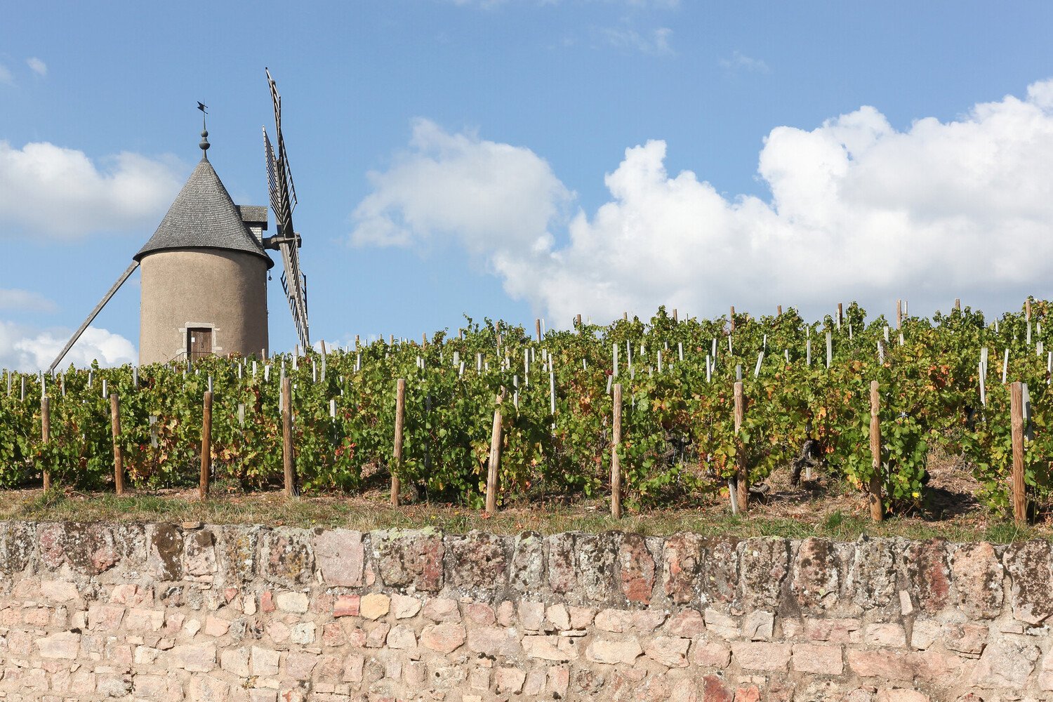 Beaujolais Wine Map: Guide to the Crus, Vineyards and Appellations - 2026 - 27 - beaujolais wine route, beaujolais wine map beaujolais wine route, beaujolais wine map - Beaujolais Wine Map: Guide to the Crus, Vineyards and Appellations - 2026 - 26
