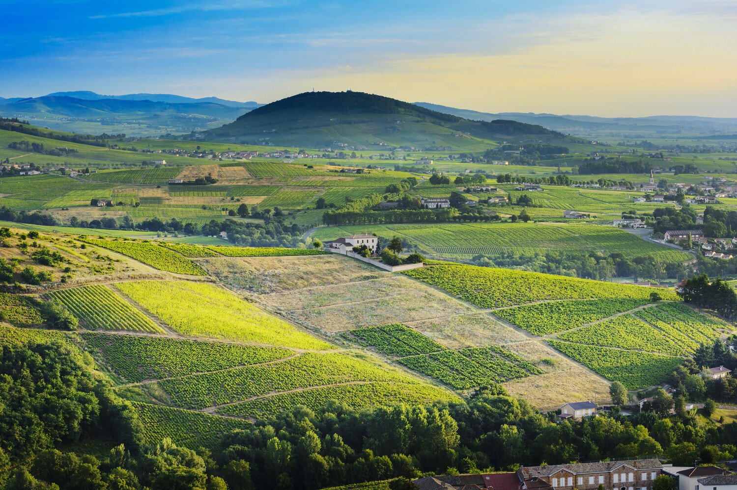 Discover the Best French Wine Regions to Visit - 2026 - 12 - french wine regions french wine regions - Discover the Best French Wine Regions to Visit - 2026 - 11