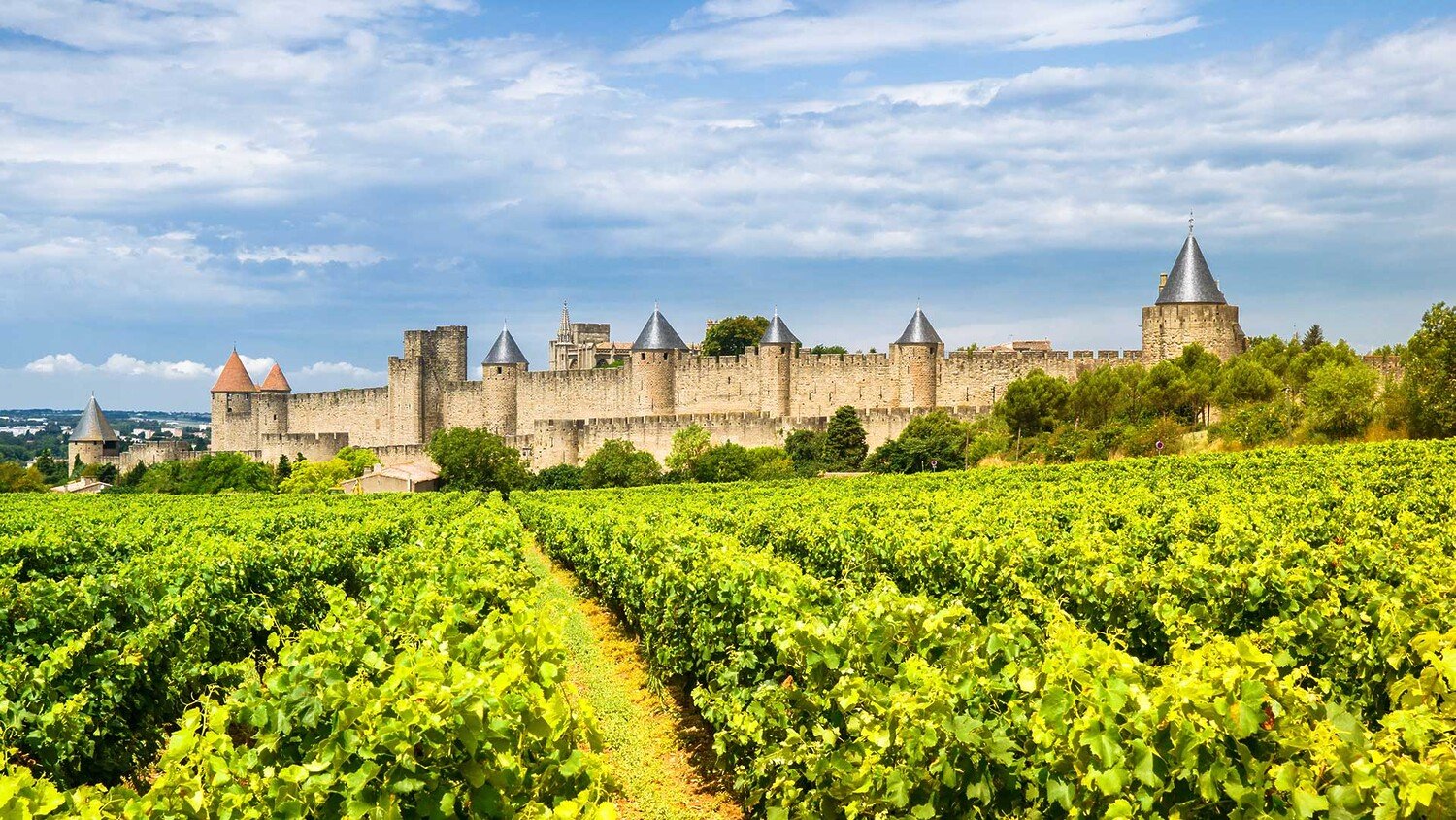 Discover the Best French Wine Regions to Visit - 2026 - 18 - french wine regions french wine regions - Discover the Best French Wine Regions to Visit - 2026 - 17
