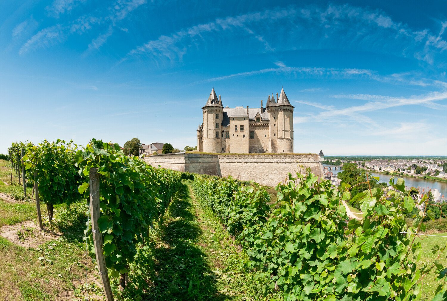 Wine and castle: Uncover the top things to do in Chinon France - 2026 - 35 - things to do in chinon france things to do in chinon france - Wine and castle: Uncover the top things to do in Chinon France - 2026 - 34