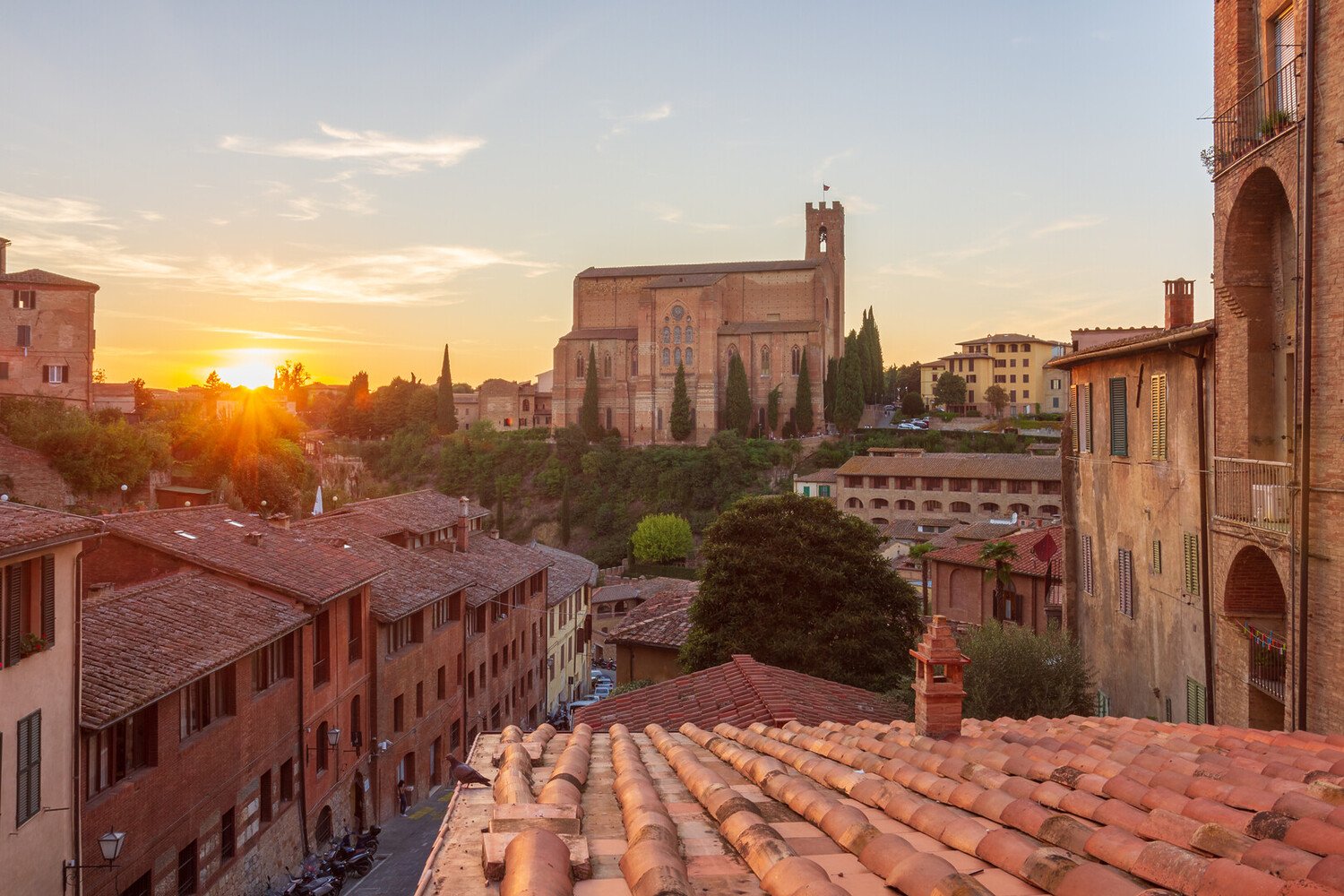 Visit Elba Island Italy: All You Must Know - 2026 - 26 - visit elba island visit elba island - Visit Elba Island Italy: All You Must Know - 2026 - 25