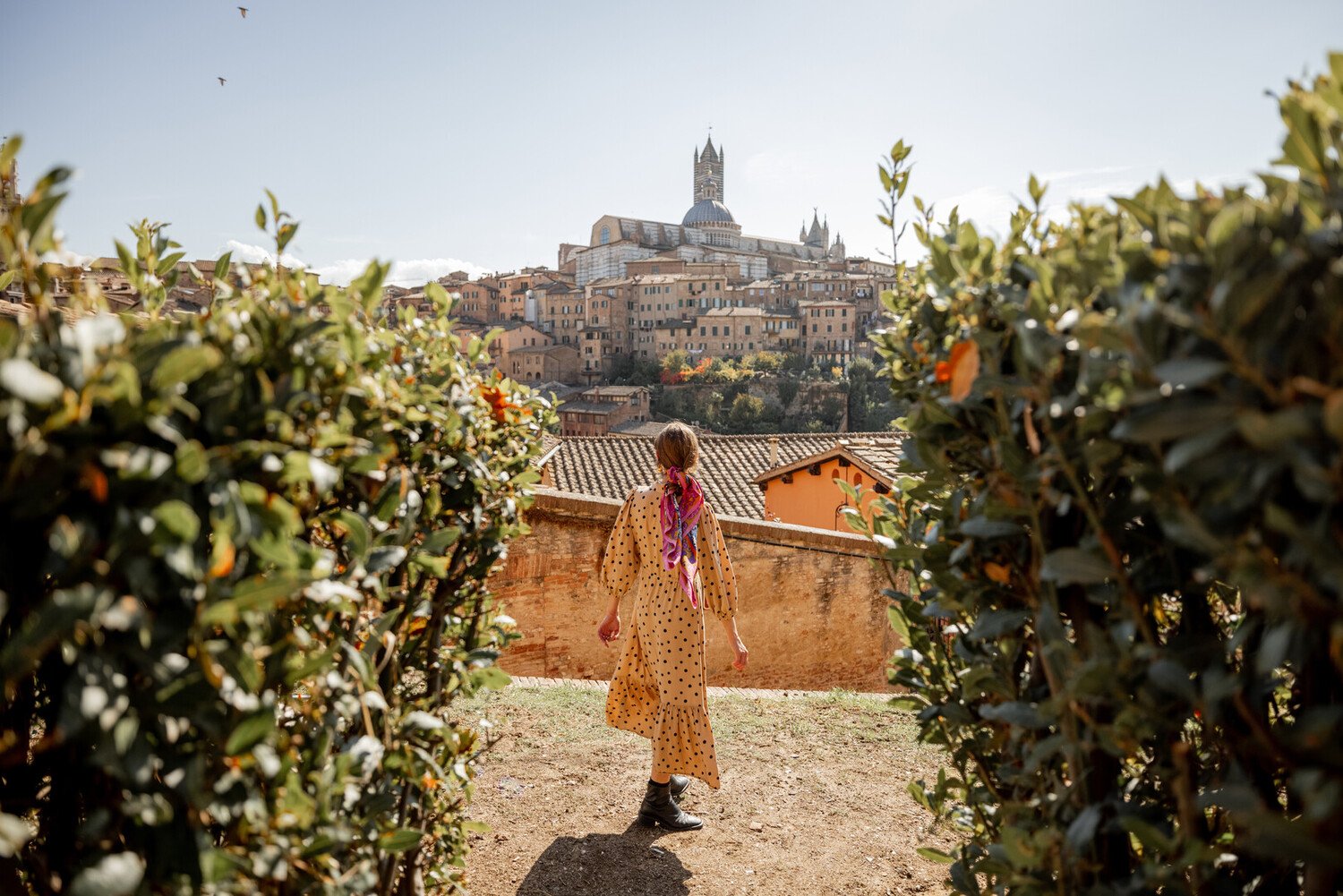 Uncover the Best Things to Do in Tuscany: Your Ultimate Travel Guide - 2026 - 2 - things to do in Tuscany things to do in Tuscany - Uncover the Best Things to Do in Tuscany: Your Ultimate Travel Guide - 2026 - 1