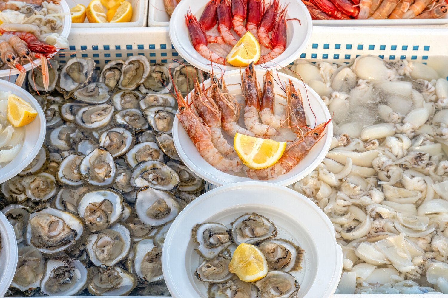 Best Things to Do in Bari Italy: Uncover the City - 2026 - 10 - things to do in bari things to do in bari - Best Things to Do in Bari Italy: Uncover the City - 2026 - 9