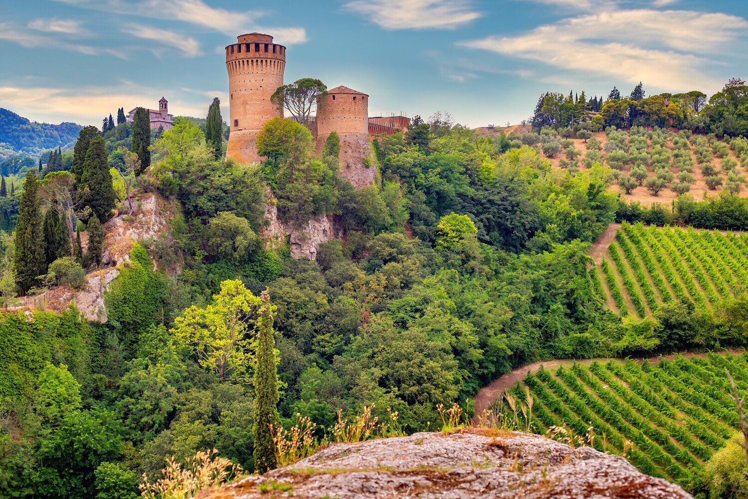 Italian Wine Regions: A Traveler's Guide to the Best Vineyards - 2026 - 9 - italy wine regions italy wine regions - Italian Wine Regions: A Traveler's Guide to the Best Vineyards - 2026 - 8