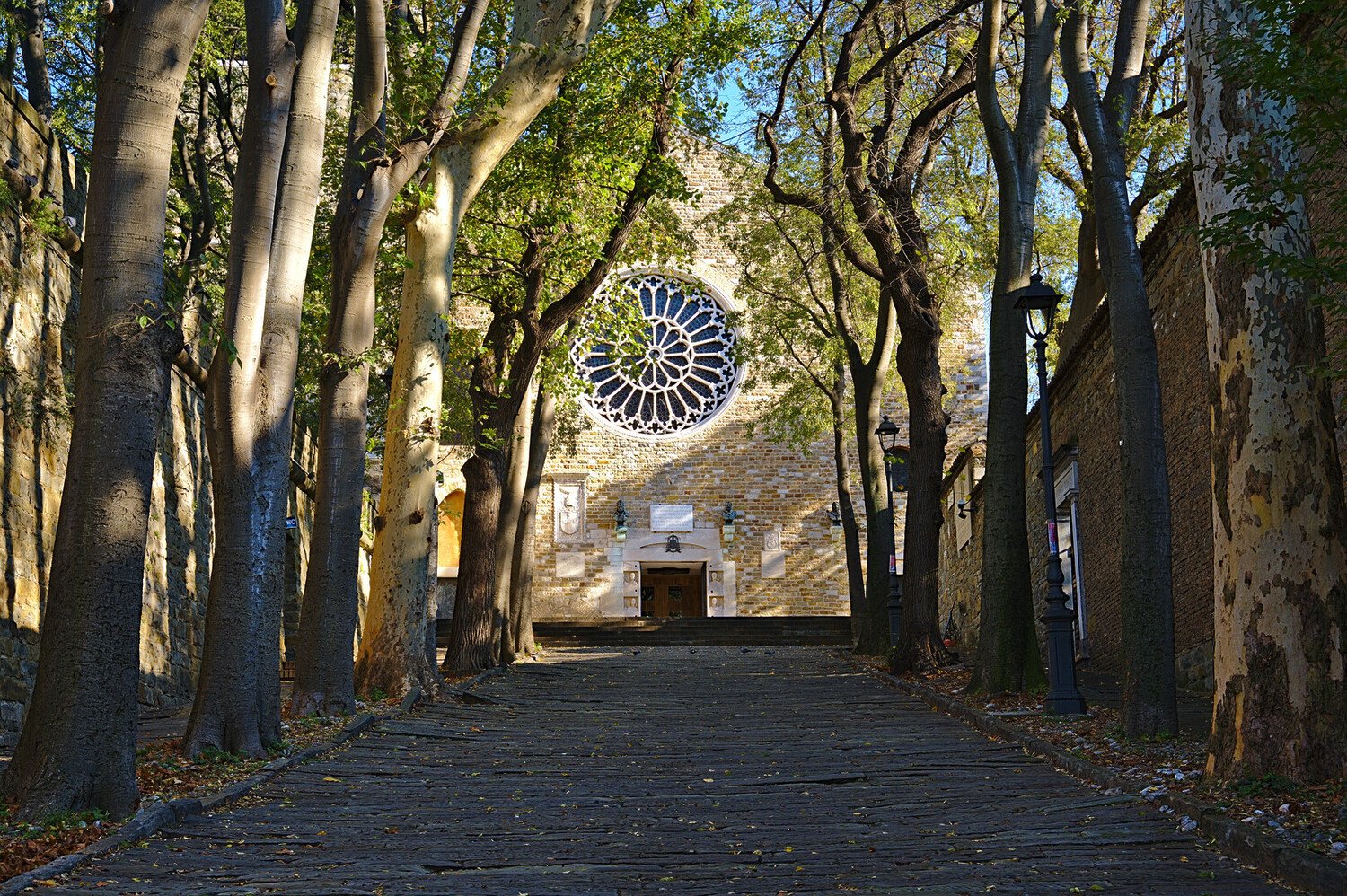 Cosa vedere a Trieste: TOP 10 Luoghi Imperdibili - 2026 - 7 - cosa vedere a trieste,cosa fare a trieste,visitare trieste cosa vedere a trieste,cosa fare a trieste,visitare trieste - Cosa vedere a Trieste: TOP 10 Luoghi Imperdibili - 2026 - 6