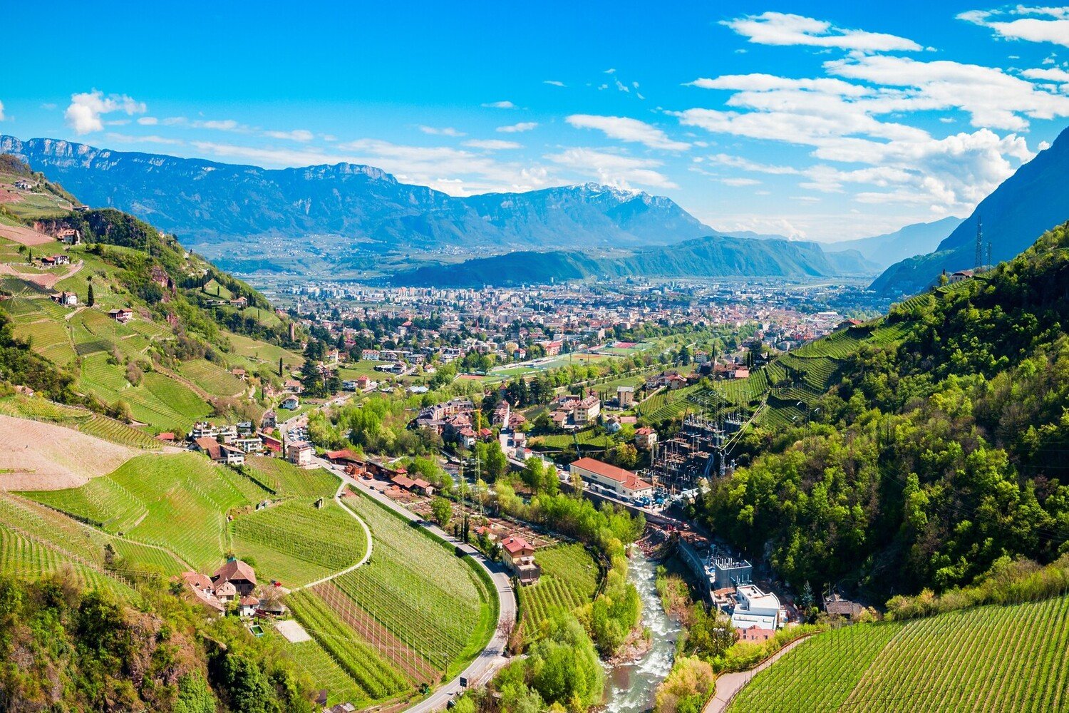 Cosa vedere a Bolzano: Tra Natura, Storia e Buon Cibo - 2026 - 2 - cosa vedere a bolzano,cosa fare a bolzano,visitare bolzano cosa vedere a bolzano,cosa fare a bolzano,visitare bolzano - Cosa vedere a Bolzano: Tra Natura, Storia e Buon Cibo - 2026 - 1